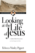 Looking at the Life of Jesus: 7 Seeker Bible Discussions on the Gospel of John, By Rebecca Manley Pippert