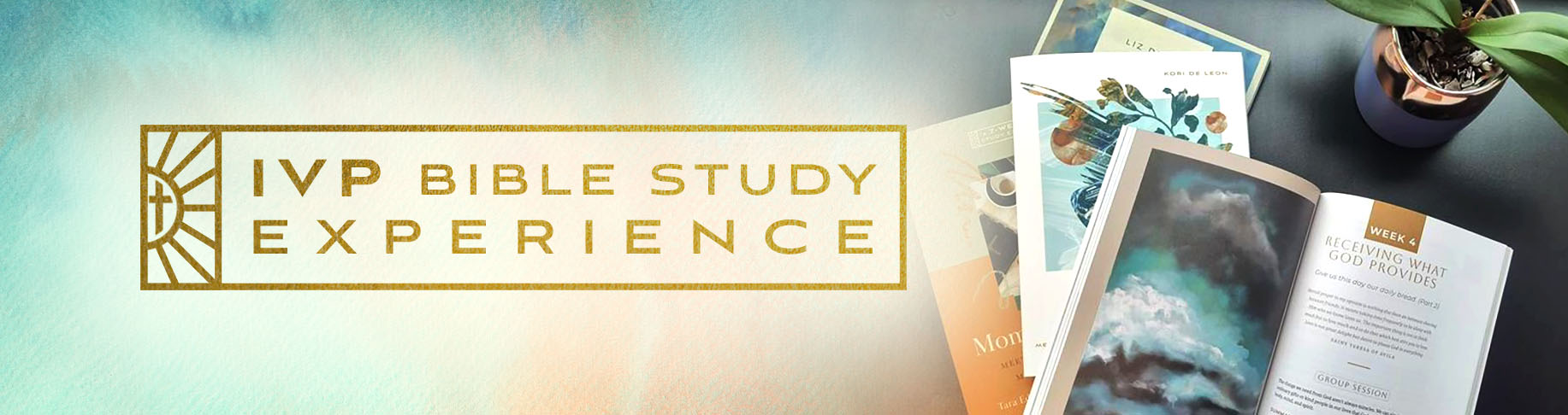 IVP Bible Study Experience