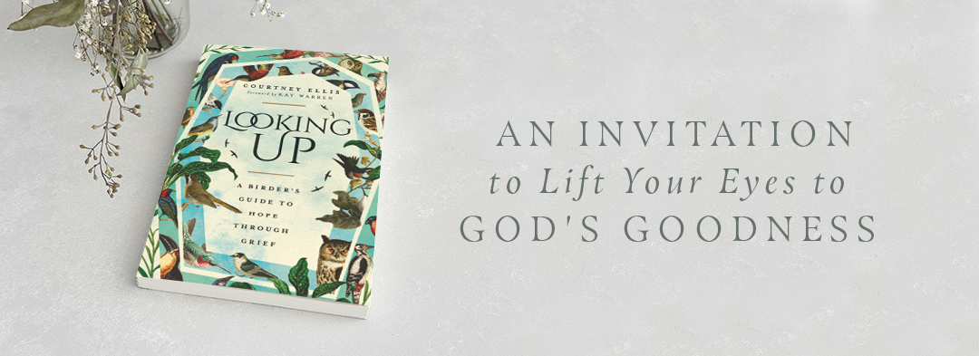  An Invitation to Lift Your Eyes to God's Goodness