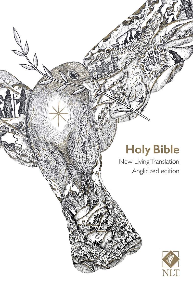 Holy Bible New Living Translation Popular Portable - 