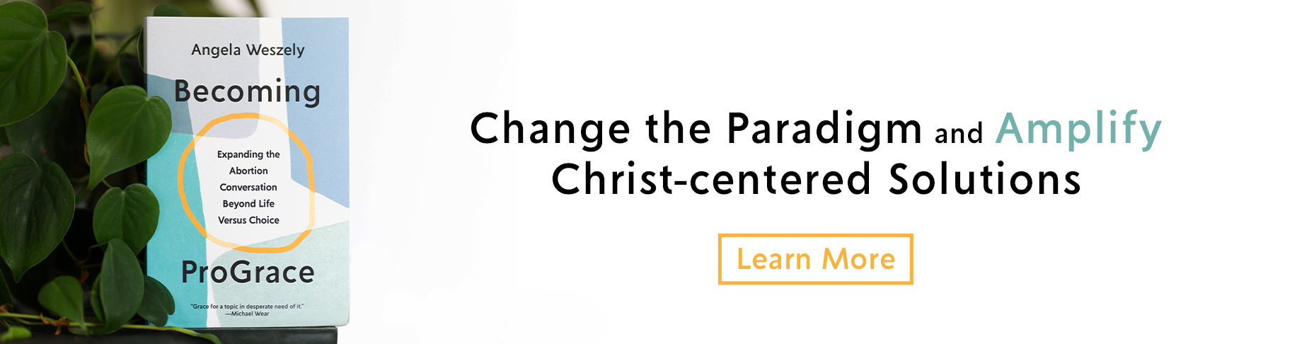 Change the Paradigm and  Amplify Christ-centered Solutions - Learn More