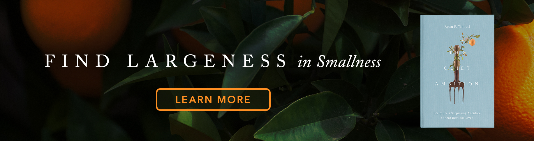 Find Largeness in Smallness  - Learn More