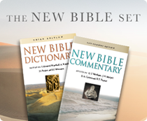 The New Bible Set