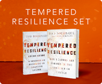 Tempered Resilience Set
