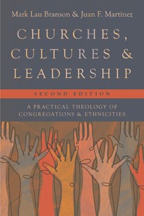 Churches, Cultures, and Leadership: A Practical Theology of Congregations and Ethnicities, By Mark Lau Branson and Juan F. Martinez