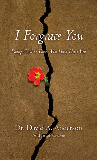 I Forgrace You, By David A. Anderson