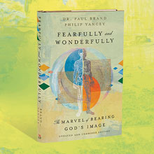 3D image of the Fearfully and Wonderfully book cover