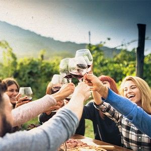 photo of happy people making a toast with glasses of wine